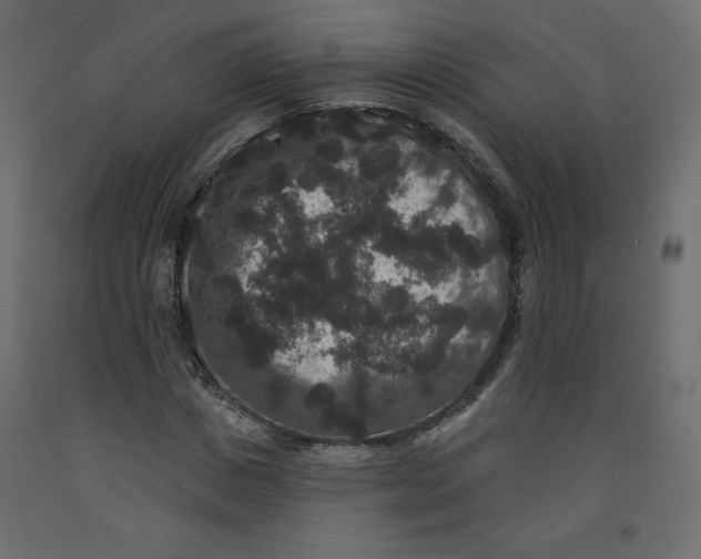 X0000092320825200710121520
