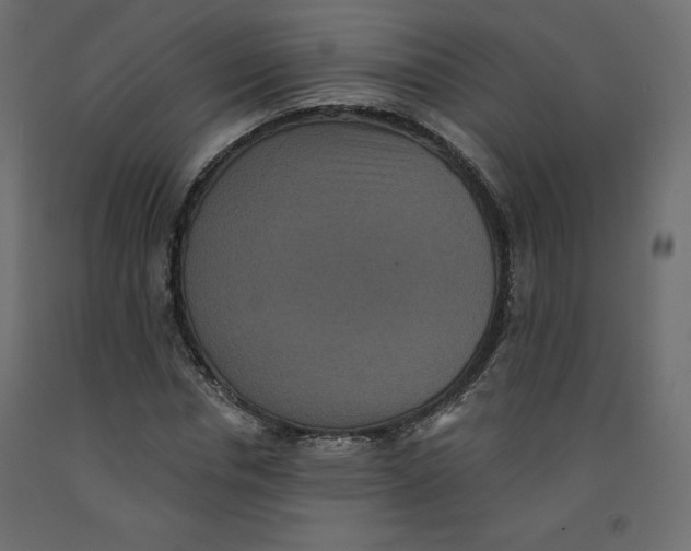 X0000092320826200710121520