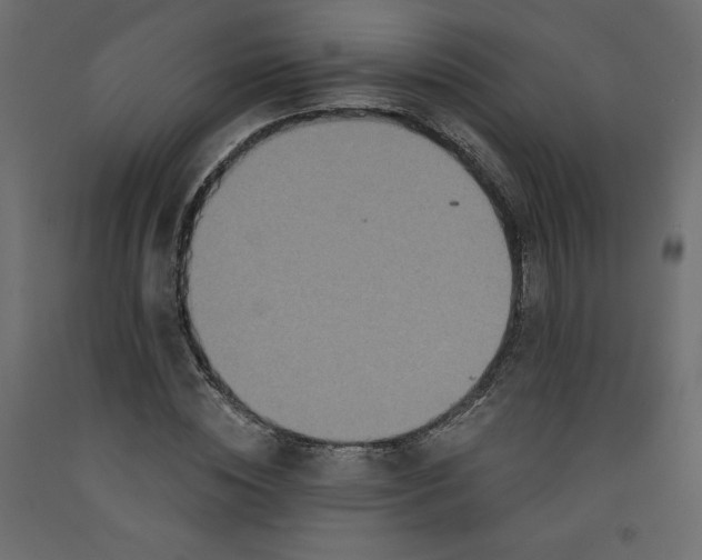 X0000092320828200710121520