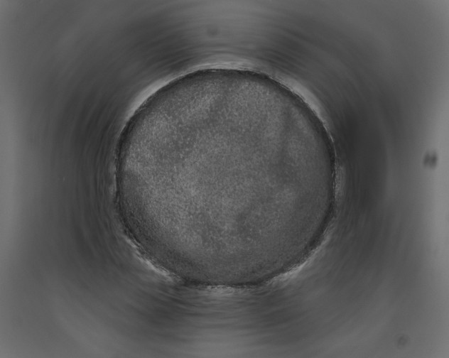 X0000092320829200710121520