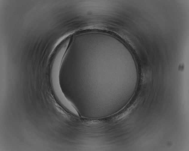 X0000092320830200710121520