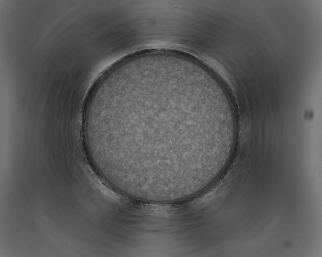 X0000092320831200710121520