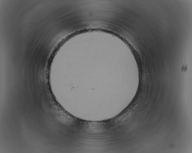 X0000092320832200710121520