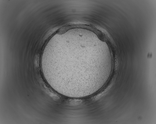 X0000092320833200710121520
