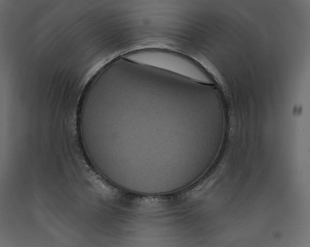 X0000092320834200710121521