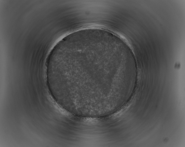 X0000092320835200710121521