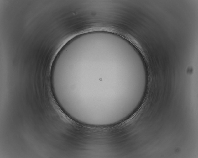 X0000092320836200710121521