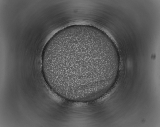 X0000092320837200710121521