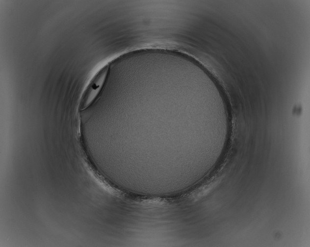 X0000092320838200710121521