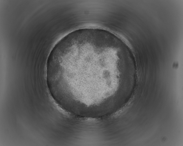 X0000092320839200710121521