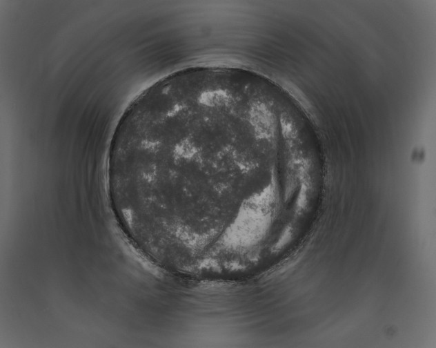 X0000092320840200710121521