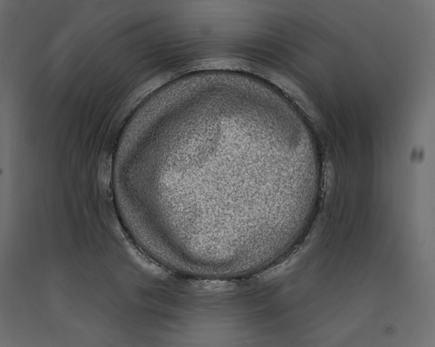 X0000092320841200710121521