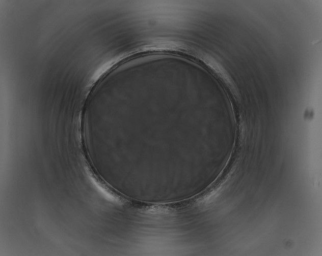 X0000092320842200710121521