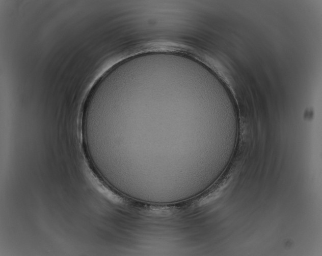 X0000092320843200710121521