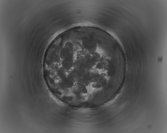 X0000092320845200710121521