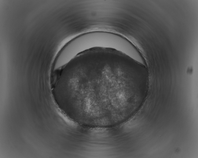 X0000092320846200710121521