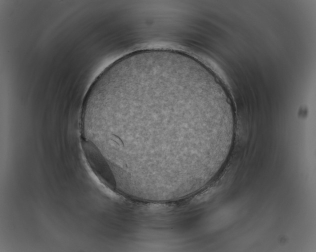 X0000092320847200710121521