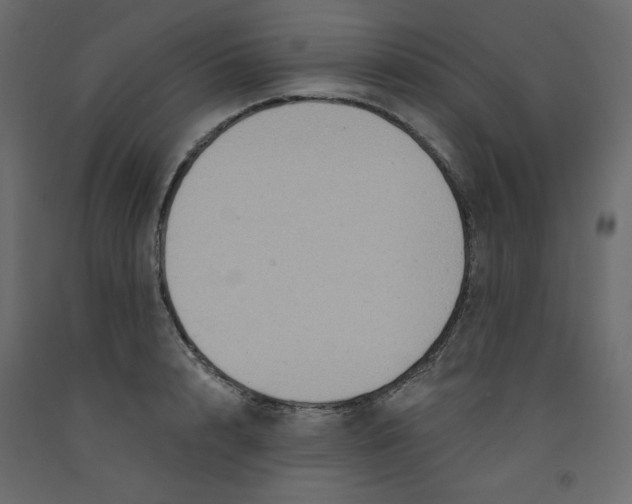 X0000092320848200710121521