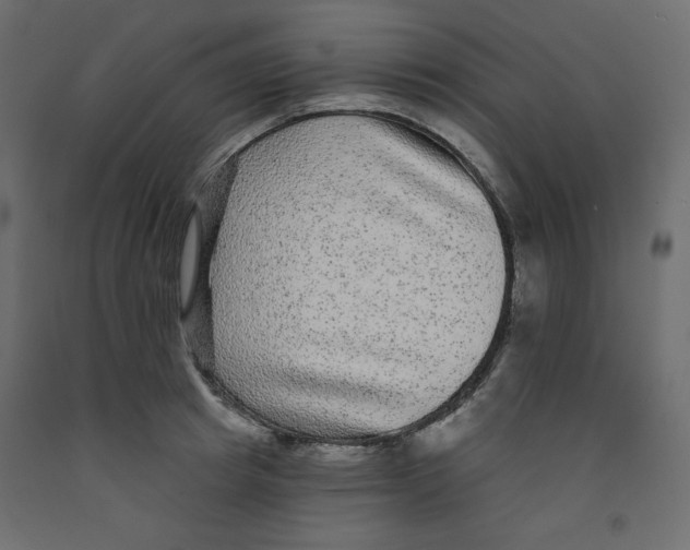 X0000092320849200710121521