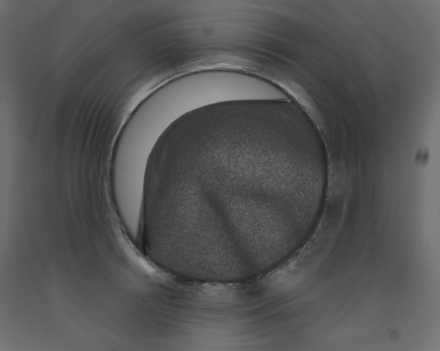 X0000092320850200710121521