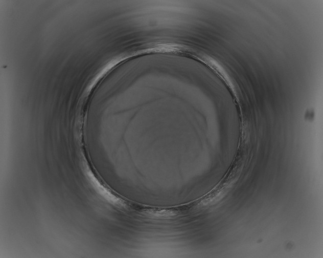 X0000092320851200710121521