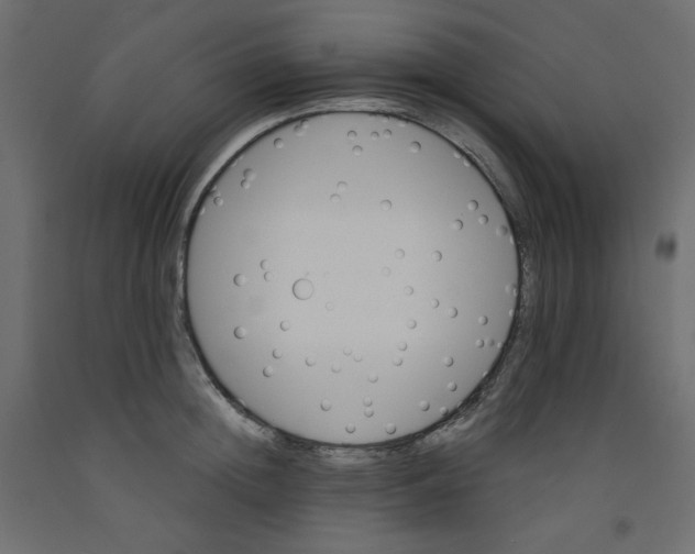 X0000092320852200710121521