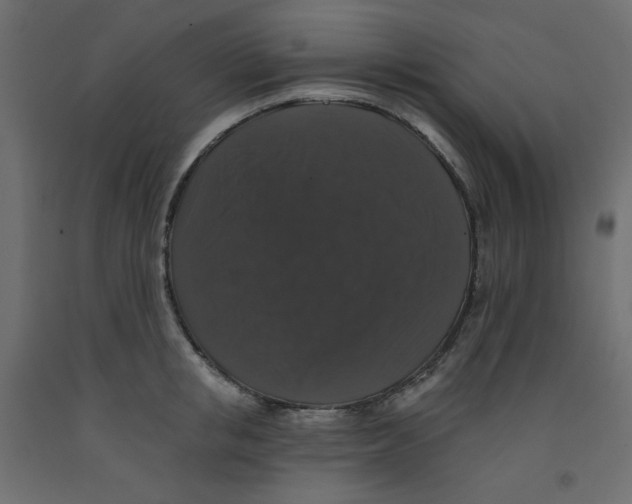 X0000092320853200710121521