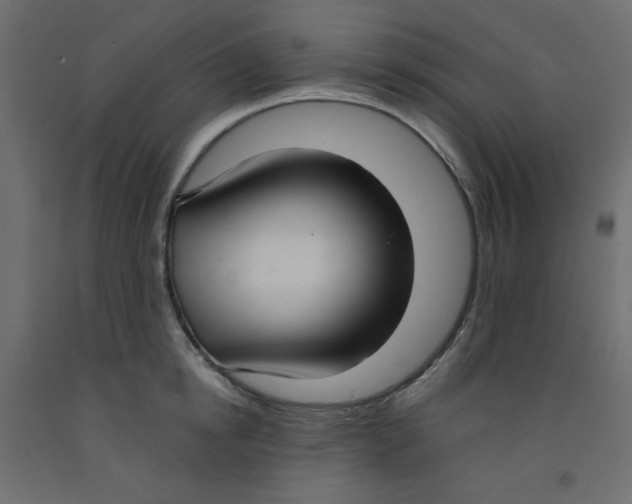 X0000092320854200710121521