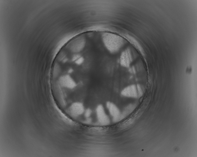 X0000092320855200710121521