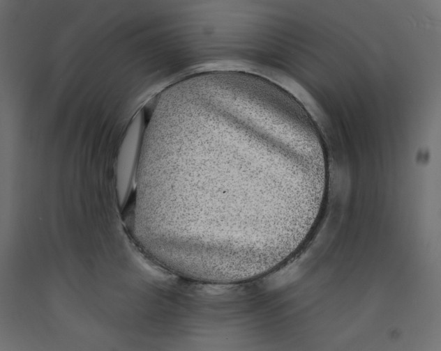 X0000092320857200710121521