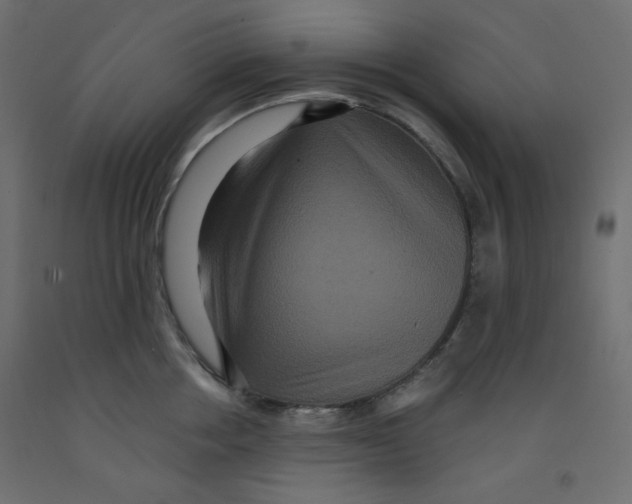 X0000092320858200710121521