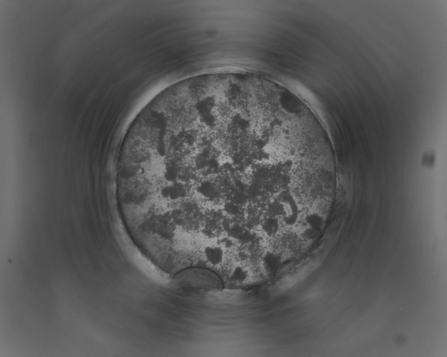 X0000092320859200710121521
