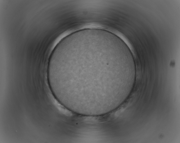 X0000092320861200710121521
