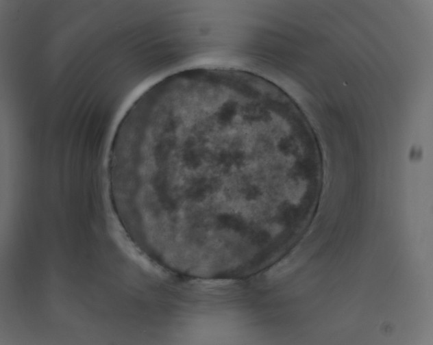 X0000092320864200710121521