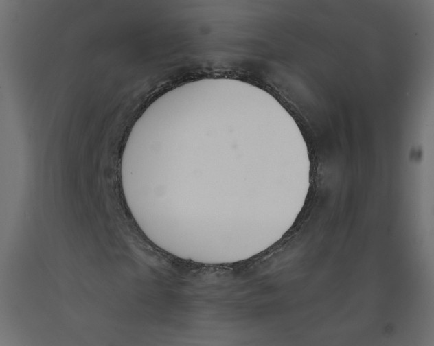 X0000092320865200710121520