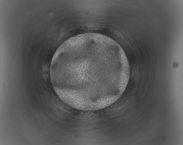 X0000092320866200710121520