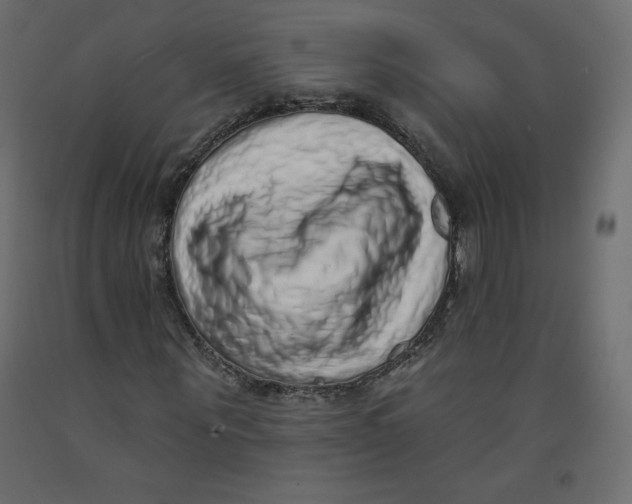 X0000092320867200710121520