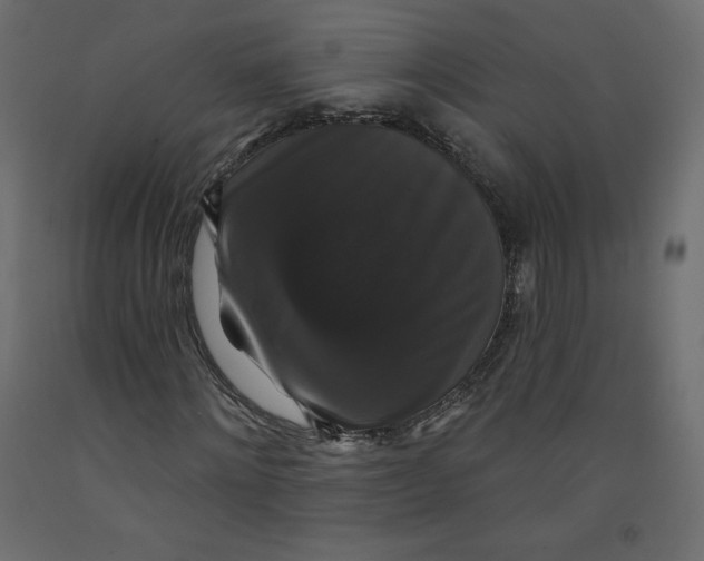 X0000092320868200710121520
