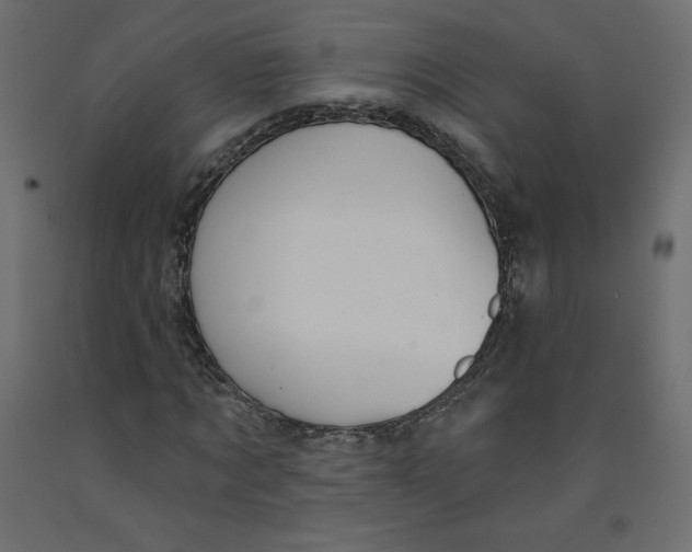 X0000092320869200710121520