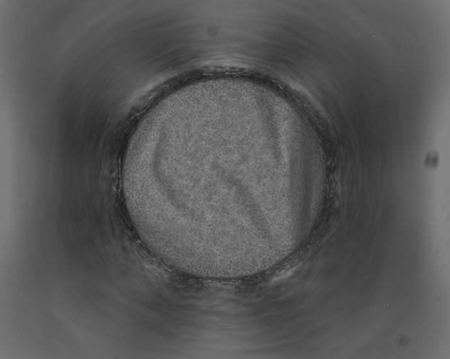 X0000092320870200710121520