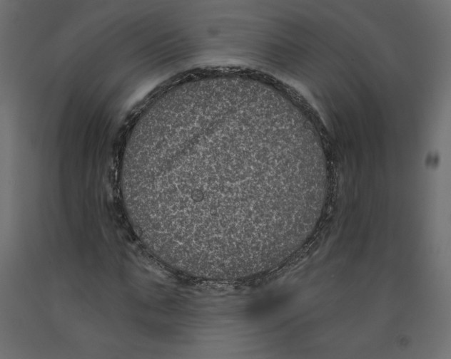 X0000092320871200710121520