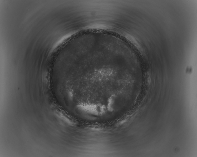 X0000092320872200710121520