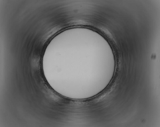 X0000092320873200710121520