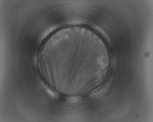 X0000092320874200710121520