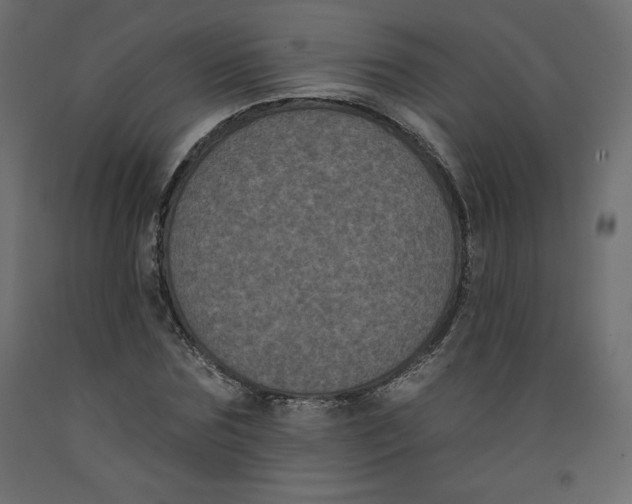 X0000092320875200710121520