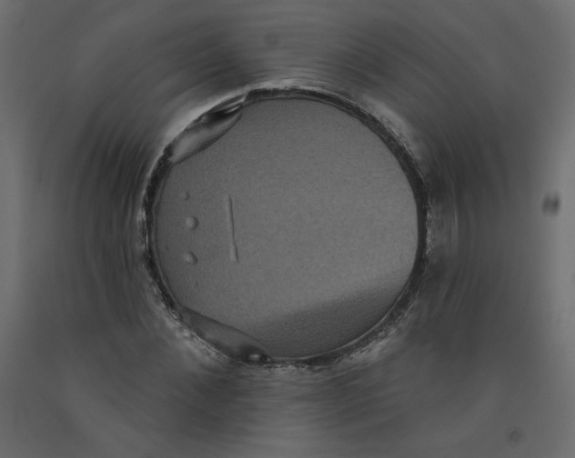 X0000092320876200710121520