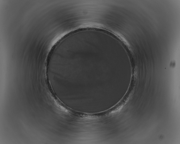 X0000092320877200710121520