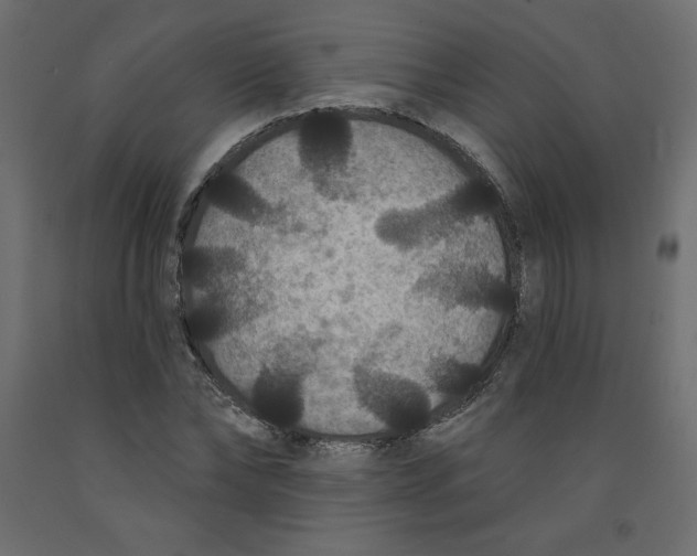 X0000092320878200710121520
