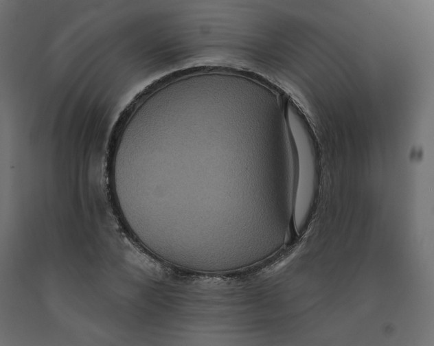 X0000092320880200710121520