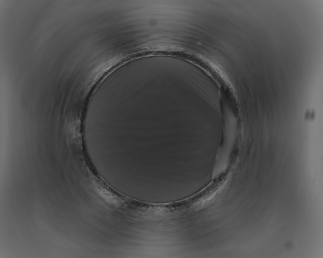 X0000092320881200710121520